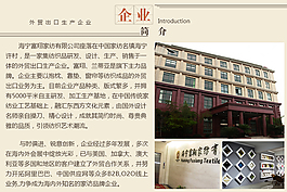 企业介绍淘宝详情页