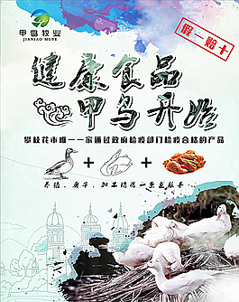 雞鴨海報圖片