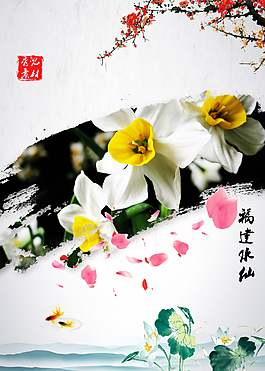 福建水仙花