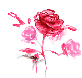 中國風(fēng)花紋圖片