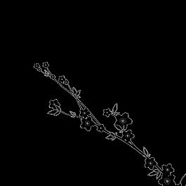 中國(guó)風(fēng)花紋圖片