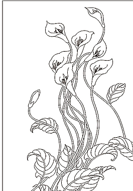 玉蘭花圖片
