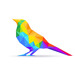 抽象鳥圖片