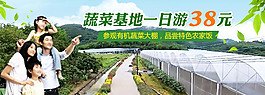 蔬菜基地一日游