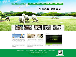 簡潔大氣農牧企業網站模板PSD