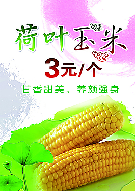 荷葉玉米圖片