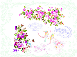 花紋圖片