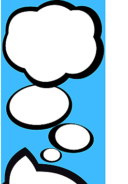 貓咪