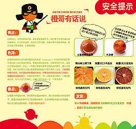 水果臍橙發貨須知發貨說明
