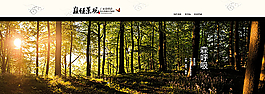 淘寶實木家居首頁banner圖片