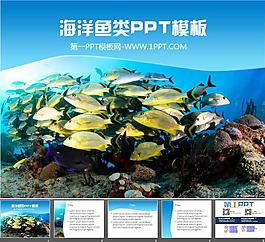 漂亮的海底世界PPT模板