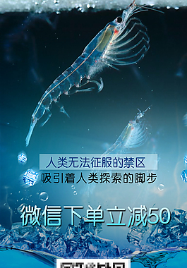 磷虾设计海报