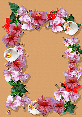 花環(huán)圖片