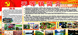 鎮(zhèn)政府簡介圖片
