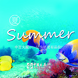 視覺 夏季  海底