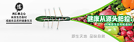 有贊商城有機食材食品微店banner