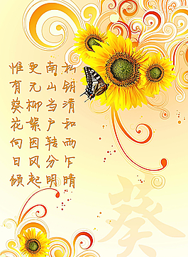 向日葵图片