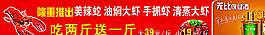 龍蝦圖片