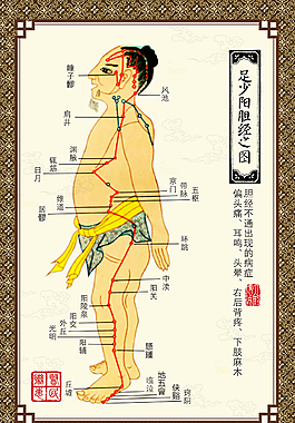 十四經絡圖  足少陽經