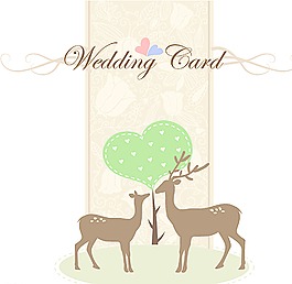 淡雅婚禮邀請卡圖片