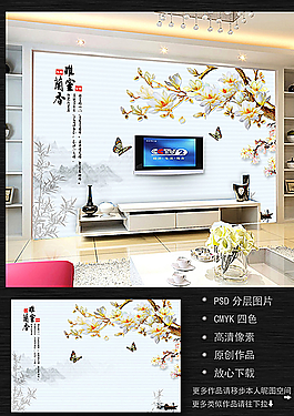 電視背景墻圖片