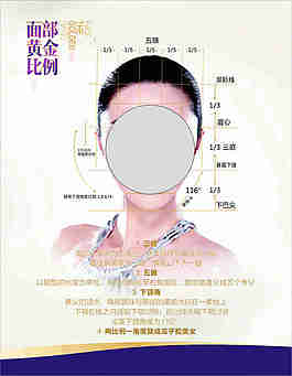 國際整形 面部黃金比例