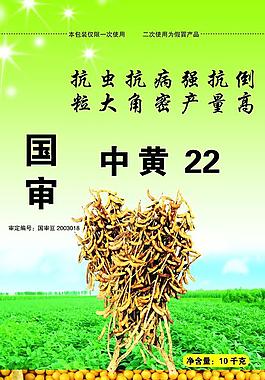 豆种包装图片模板下载