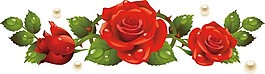 玫瑰花元素