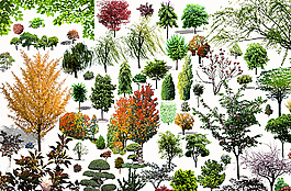植物景觀 PSD素材圖片