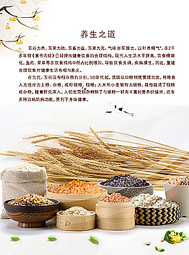 五谷雜糧圖片