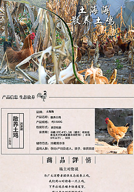 散養雞 農村土雞