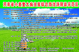 小麥噴施肥圖片