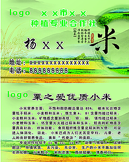 小米名片圖片