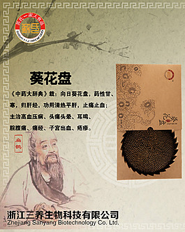 中藥 茶 葵花盤 一家人 中國風(fēng) 中醫(yī)