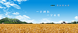 豐收農田圖片