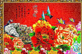 富貴牡丹圖片