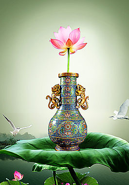 荷花圖片