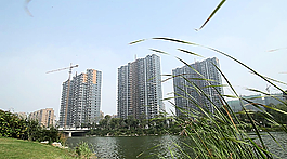 湖水一色