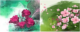 水彩花朵