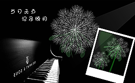 鋼琴蒲公英圖片