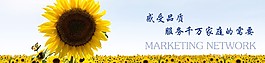 營(yíng)銷(xiāo)網(wǎng)絡(luò)（1000x240）