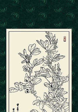 白描花朵