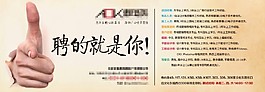 招聘设计 海报.psd