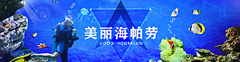 美麗海帕勞banner