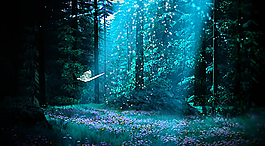 樹林