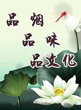 品煙文化圖片