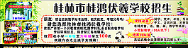 桂林市 桂鴻伏羲學(xué)校 招生圖片