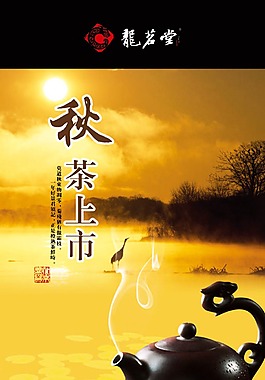 秋茶上市