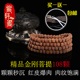 金剛菩提直通車圖