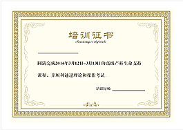 培訓(xùn)證書(shū)   矢量圖